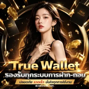 เป๋าตุง wallet